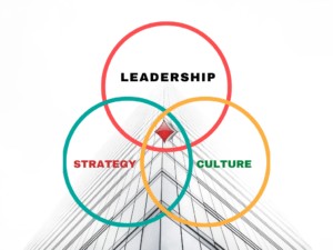 Executive Search at the Intersection of Leadership, Strategy & Culture