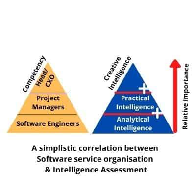 Software Service organisation & Intelligence Assessment