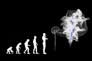 evolution, artificial intelligence, brain
